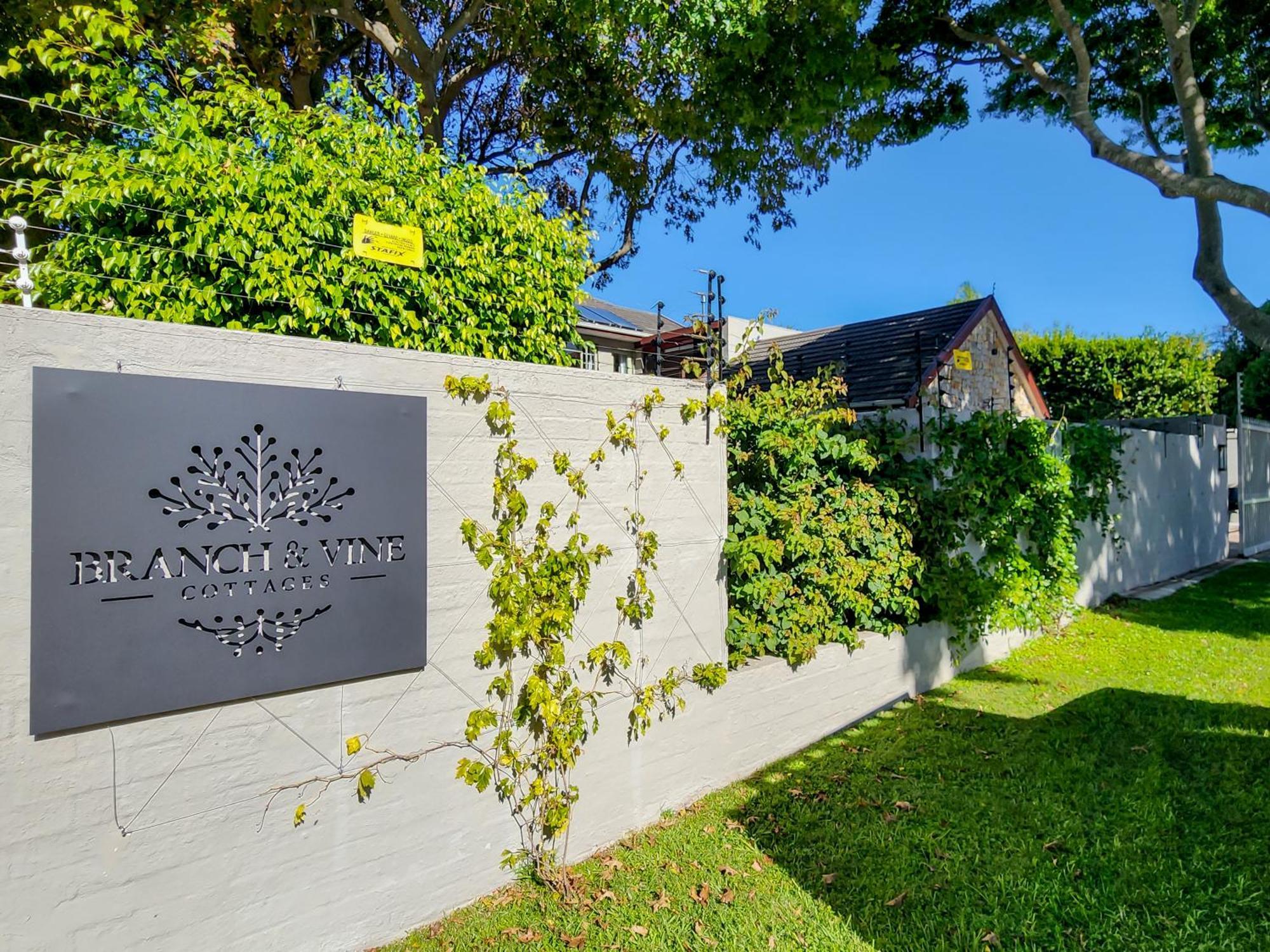 Branch & Vine Cottages - Constantia - Formerly Pinoak Cottages Ciudad del Cabo Exterior foto